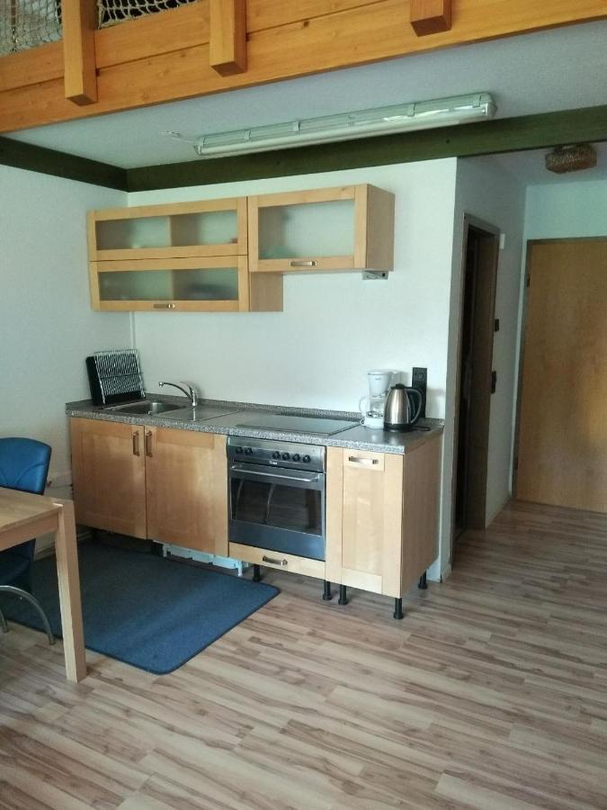 Haus Herzogenhorn - Hornberg Todtmoos Bagian luar foto